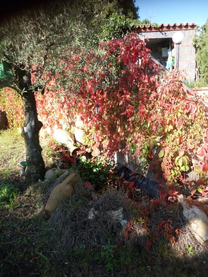 Villa Antonietta Pedara Dış mekan fotoğraf