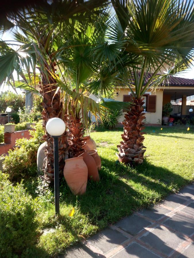 Villa Antonietta Pedara Dış mekan fotoğraf