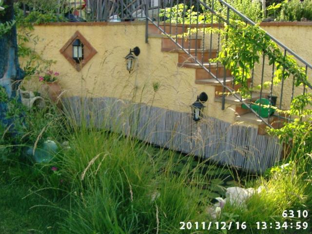 Villa Antonietta Pedara Dış mekan fotoğraf